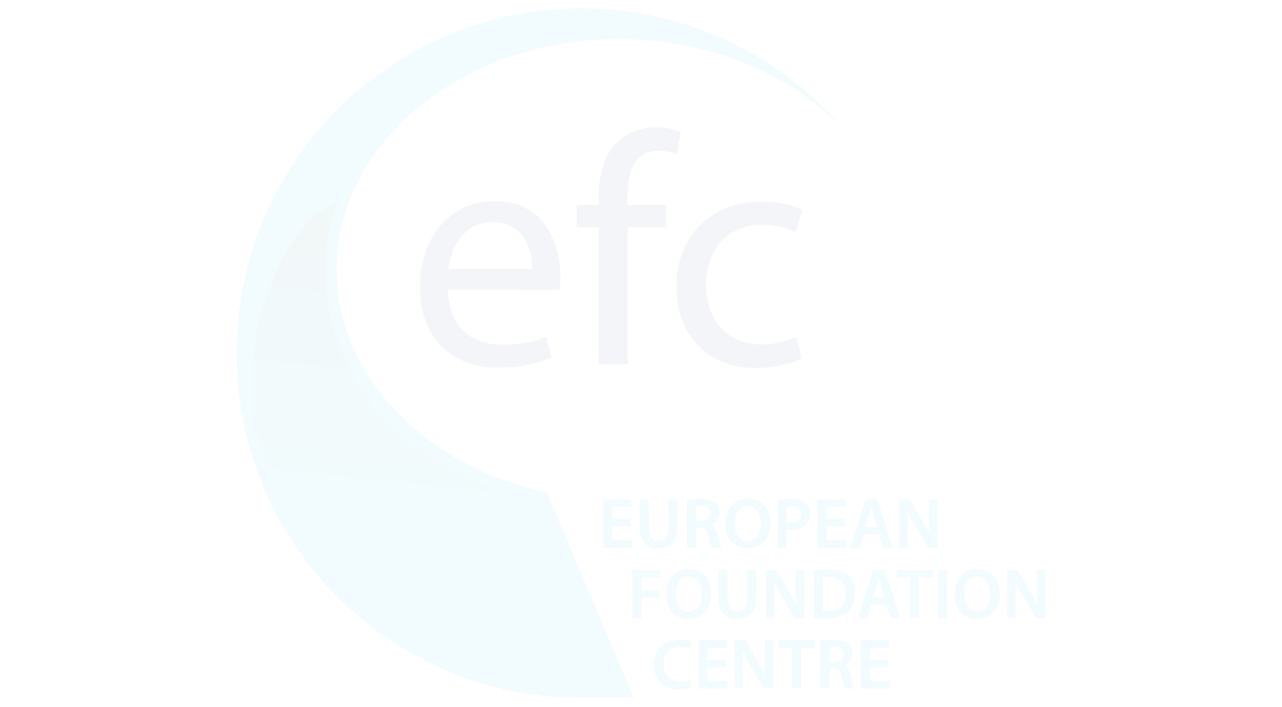 European foundation centre