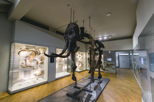 Програма «Сучасна культура» (2010–2015) 