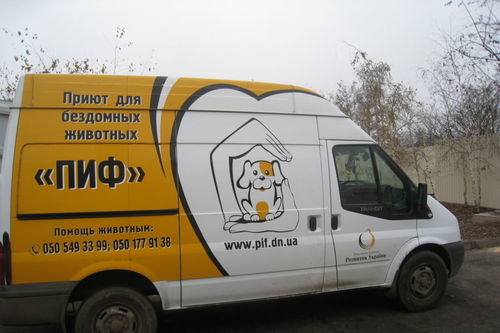 Mongrel Dog project 