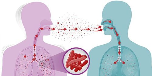 The tuberculosis epidemic reached alarming proportions in Ukraine. The Cabinet of Ministers established the National Council for Combating Tuberculosis and HIV/AIDS.